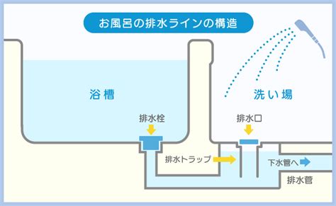 家 排水管 構造|流した生活用水はどこに？排水の仕組みについて 